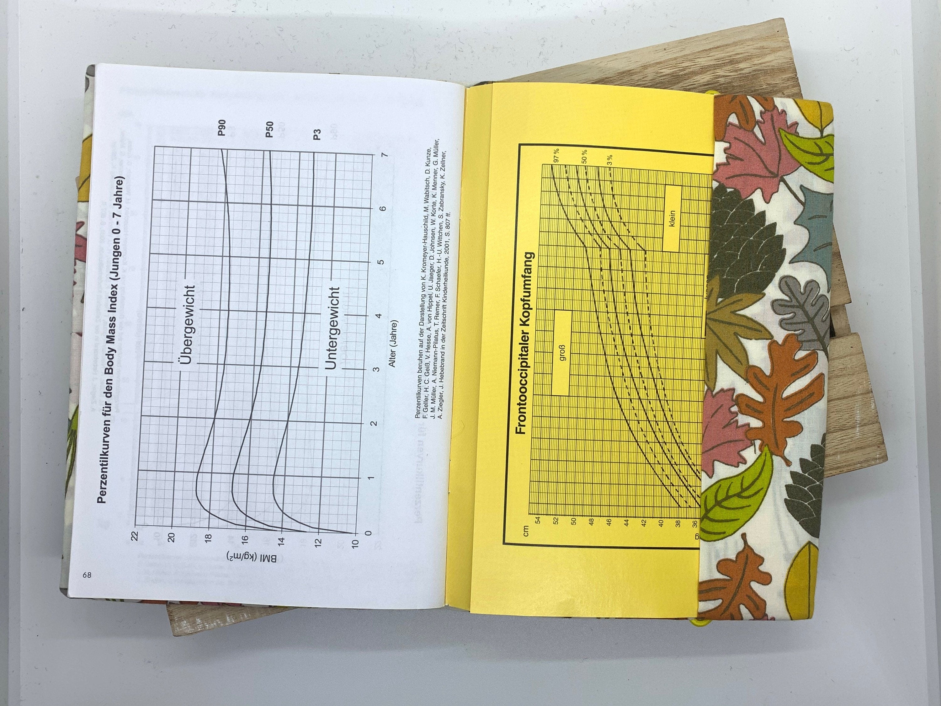 U-Heft Untersuchungsheft Hülle - Herbst