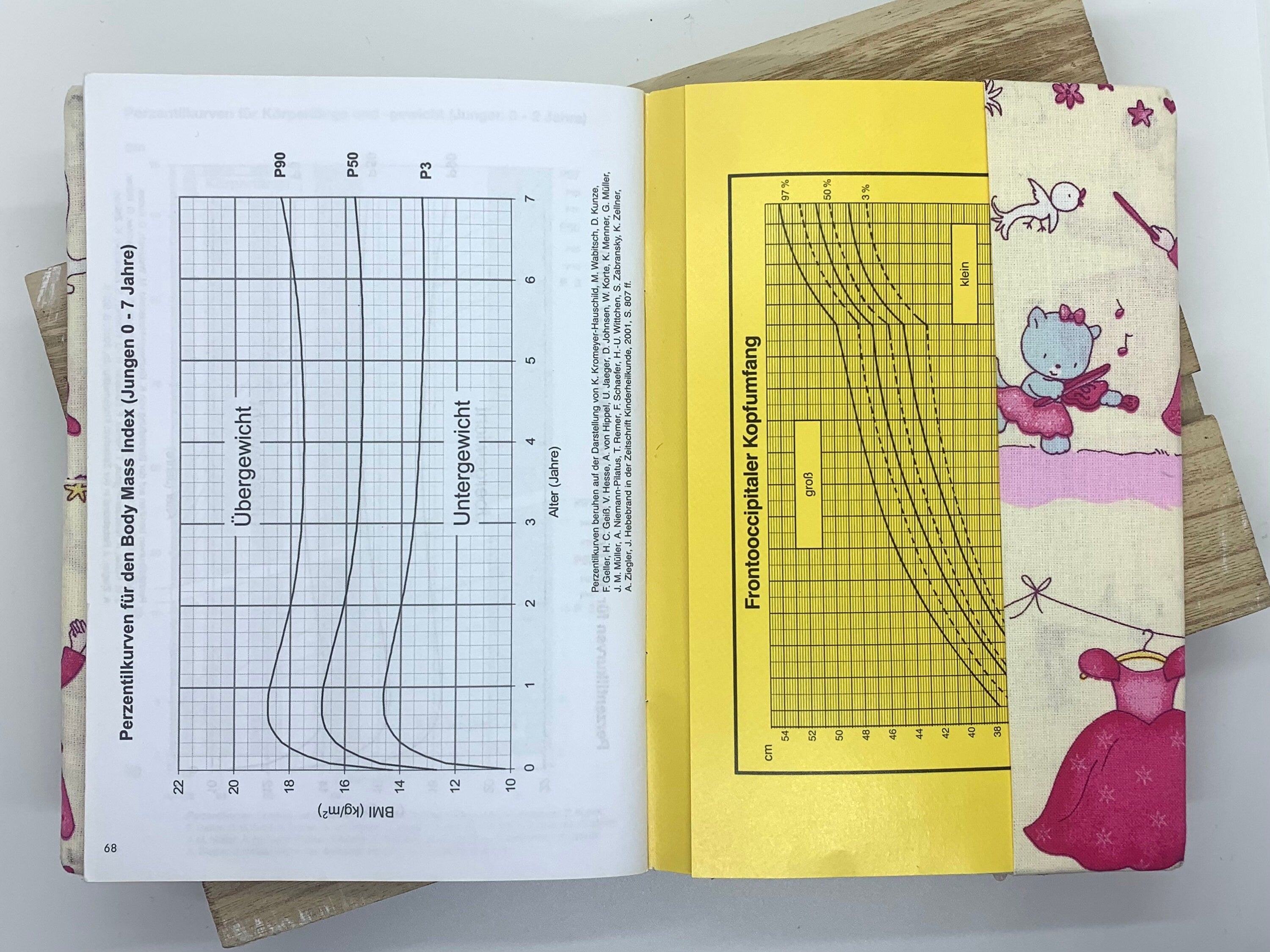 U-Heft Hülle  - Prinzessin